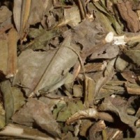 CARQUEJA Amarga 100g